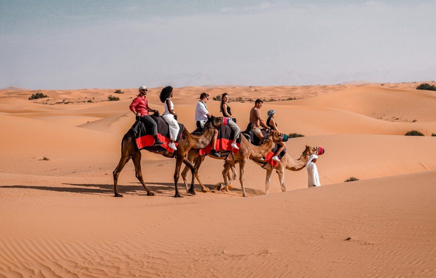 Camel Ride