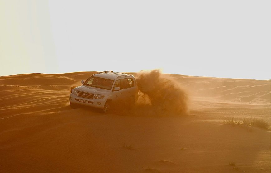 Evening Desert Safari