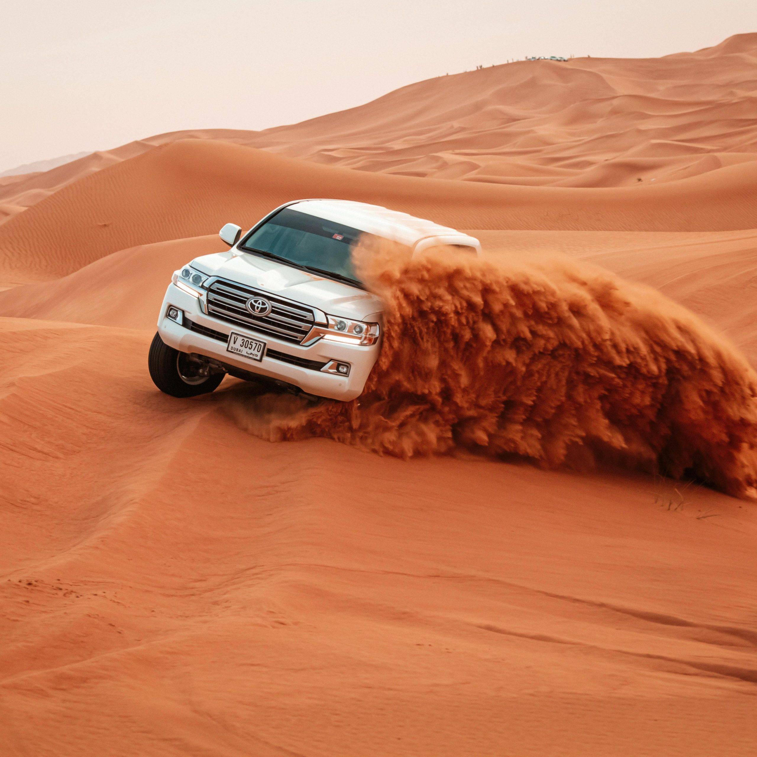 10% off our award-winning Evening Desert safari